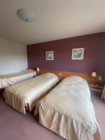 Hotel Gowell Kuur- en Wellness Yolande Buekers Wellen Exterior foto