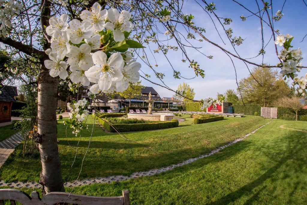 Hotel Gowell Kuur- en Wellness Yolande Buekers Wellen Exterior foto
